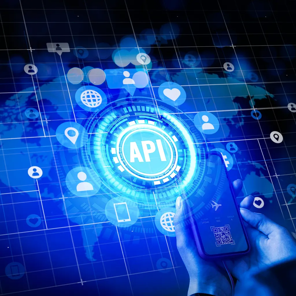 API Integration Process Images